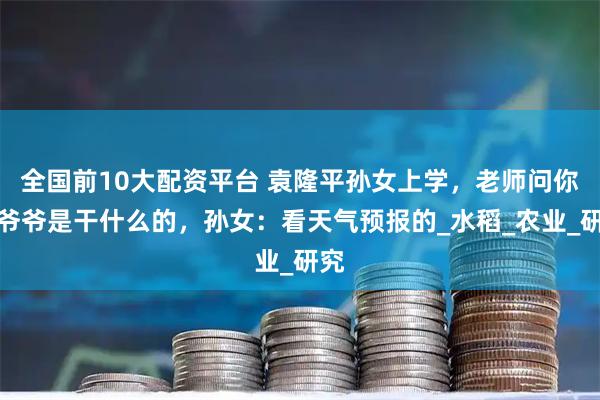 全国前10大配资平台 袁隆平孙女上学，老师问你们爷爷是干什么的，孙女：看天气预报的_水稻_农业_研究